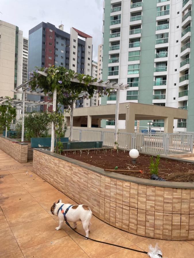 Cantinho Do Aconchego Df * Brasilia